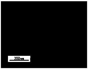 A kind of tumor drug targeting carrier and its application