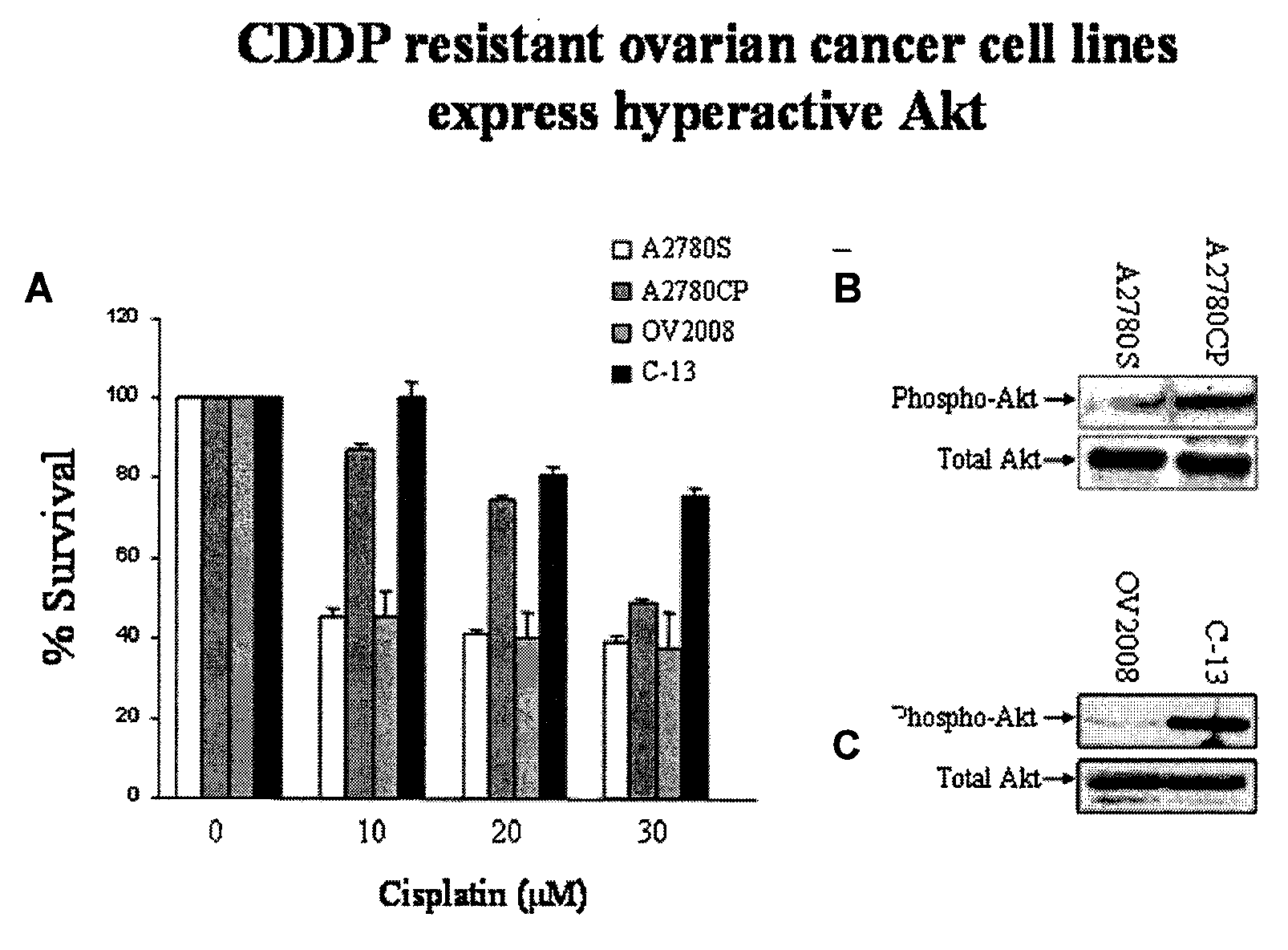 Akt sensitization of cancer cells