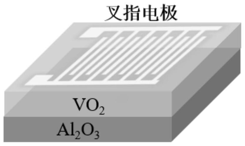 Infrared light switch based on thermoelectric coordinated regulation of vanadium dioxide thin film
