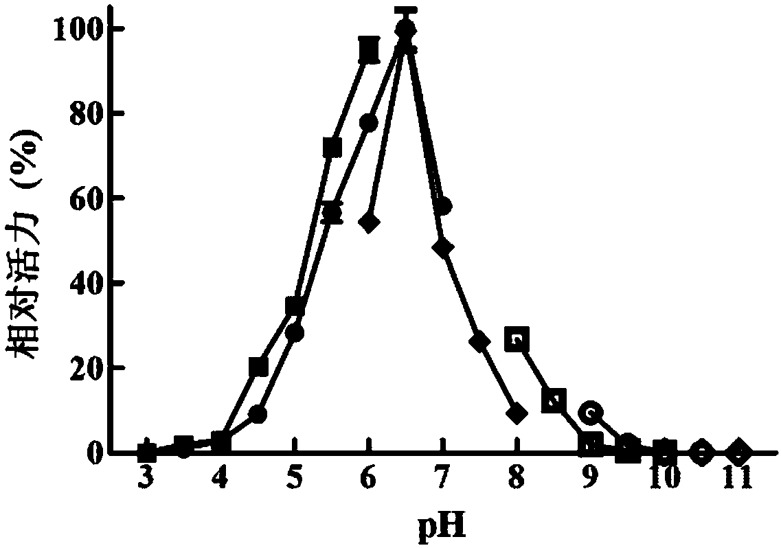 Application of protein AxMan113A as beta-mannase