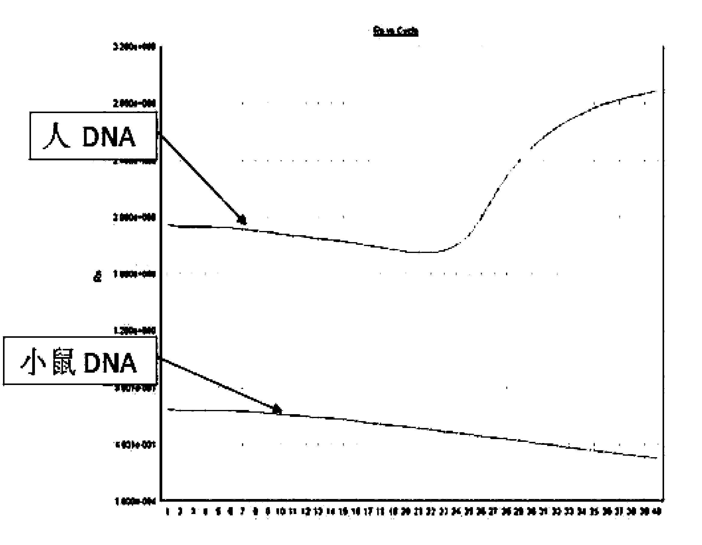 Use of human Down's syndrome DNA sequence in detection on the number of human cells implanted in mouse