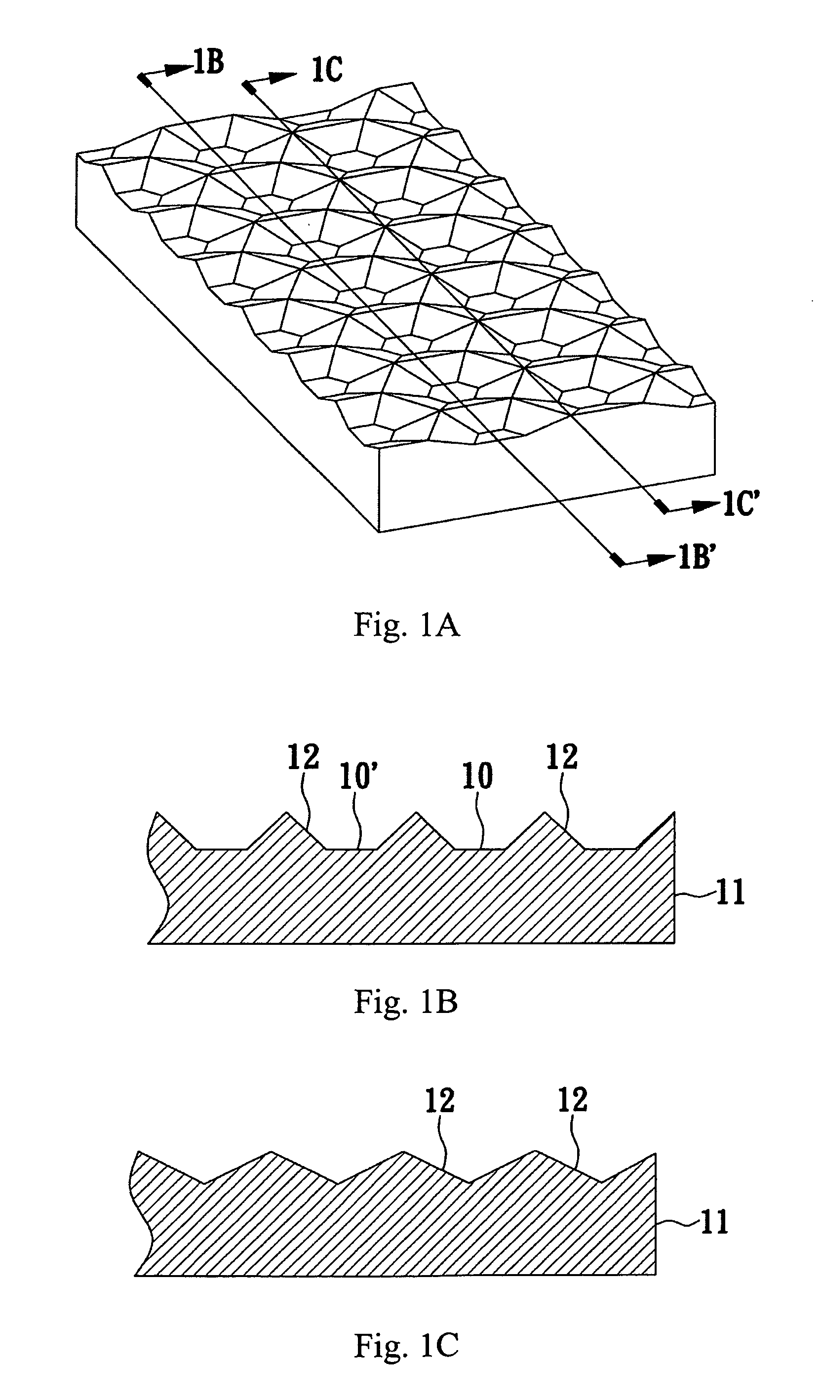 Substrate for fabricating light emitting device and light emitting device fabricated therefrom