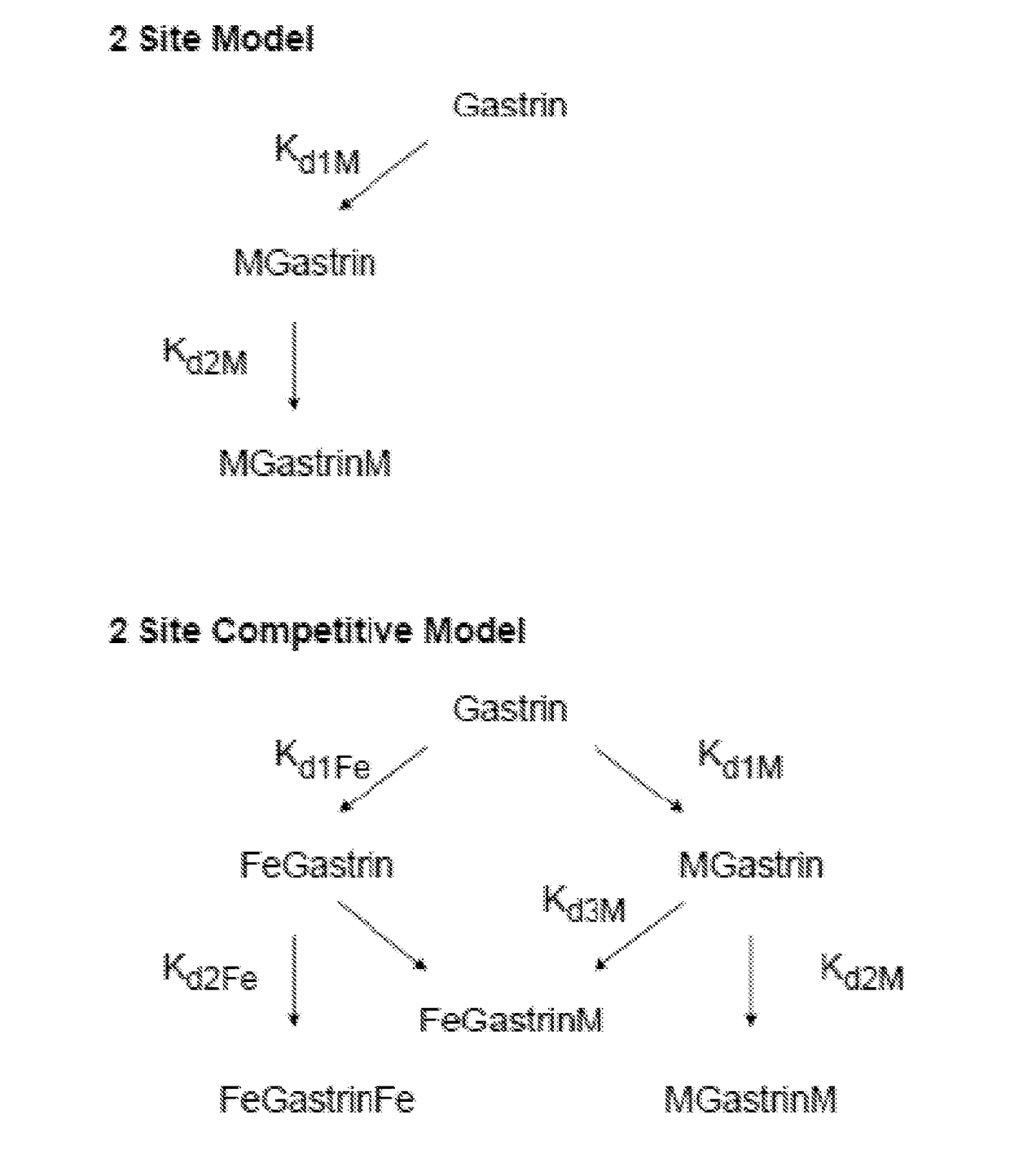 Ruthenium and Indium Binding to Gastrins