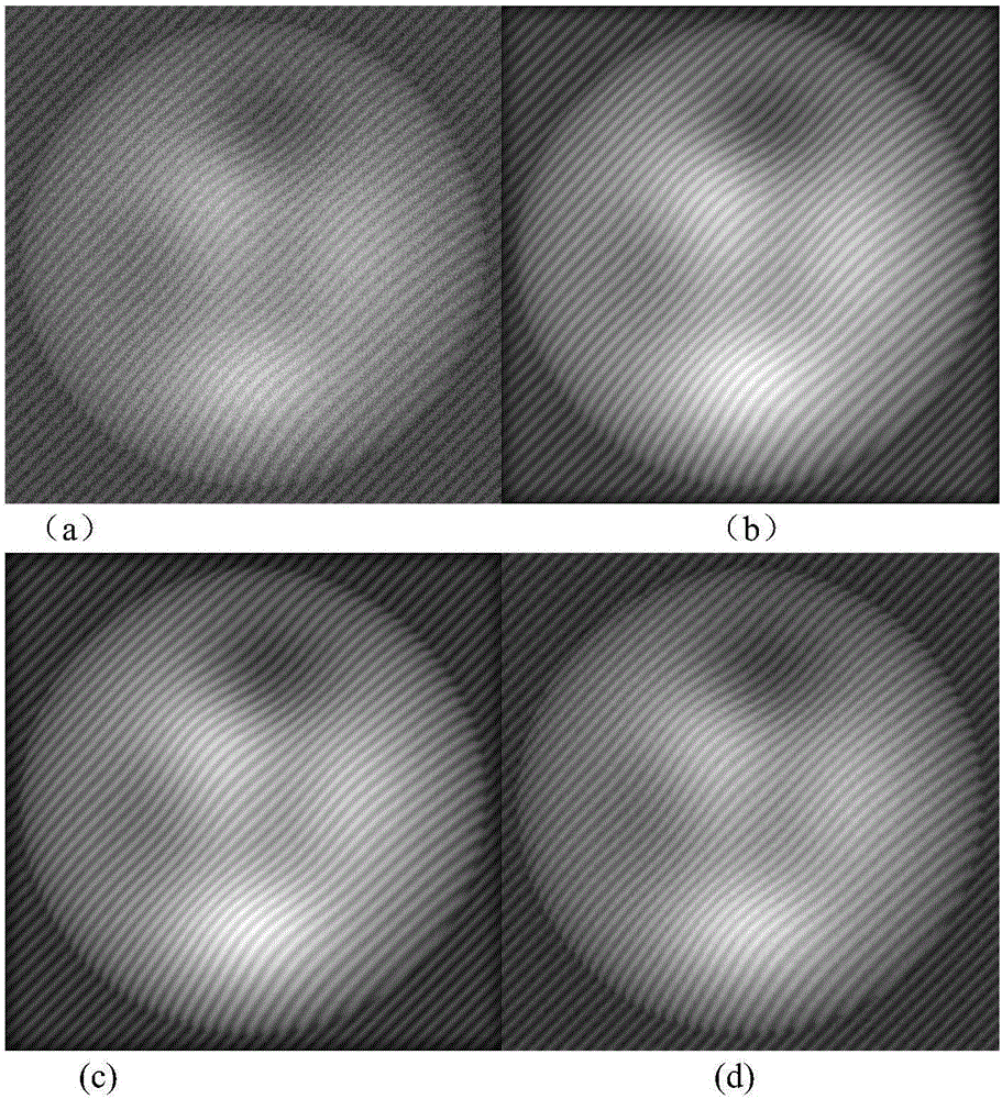 Directional partial differential equation filtering method for striped projection images
