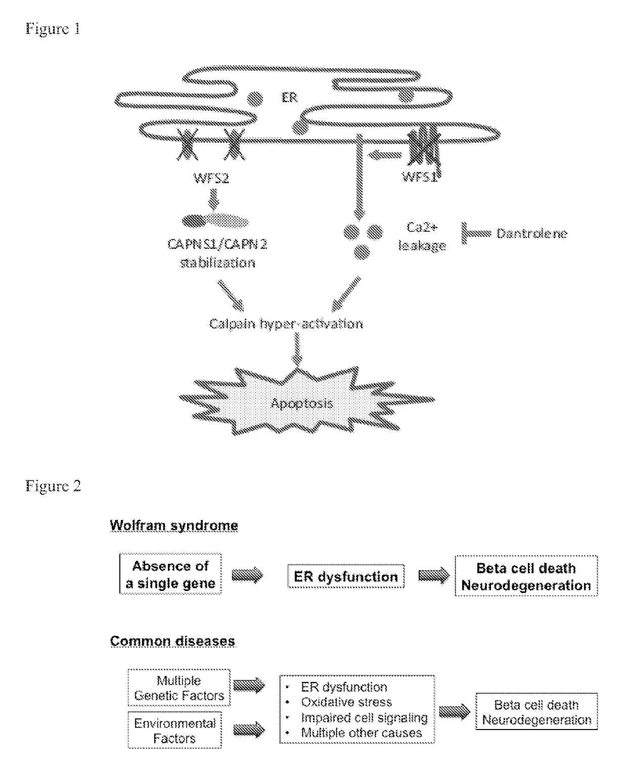 Treatment for wolfram syndrome and other endoplasmic reticulum stress disorders