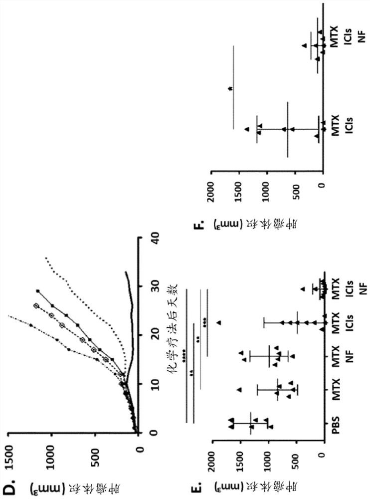 Use of caloric restriction mimetics for potentiating chemo-immunotherapy for the treatment of cancers