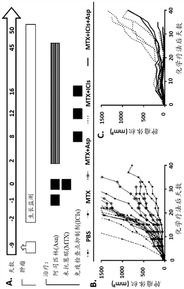 Use of caloric restriction mimetics for potentiating chemo-immunotherapy for the treatment of cancers