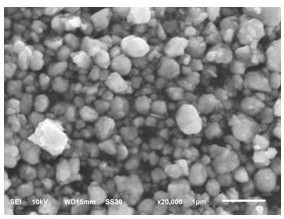 Pre-lithiated tin-lithium alloy nanoparticle for lithium-sulfur battery, and preparation method and application thereof