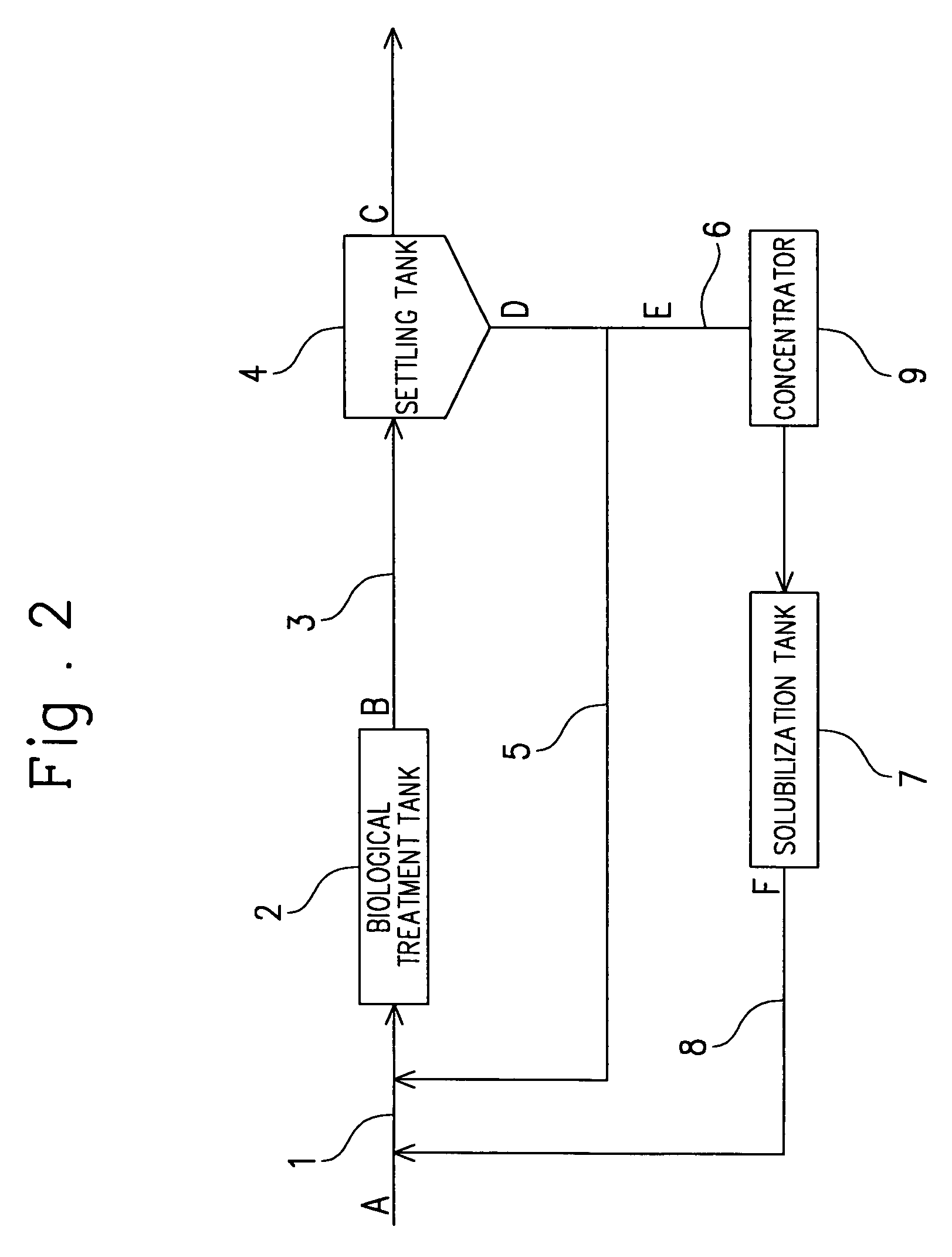 Novel microorganism and process for treatment of organic solid matter using the microorganism