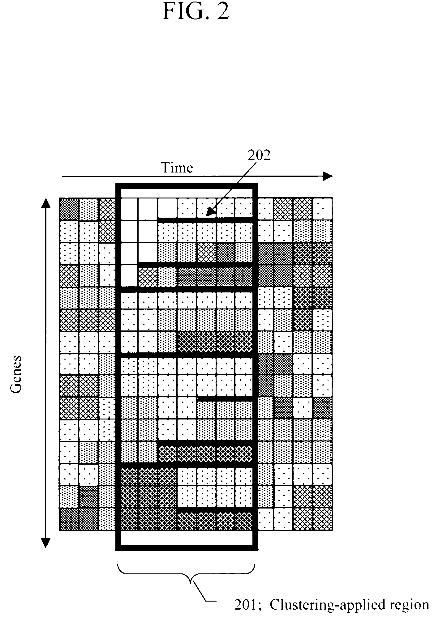Method and apparatus for displaying gene expression patterns