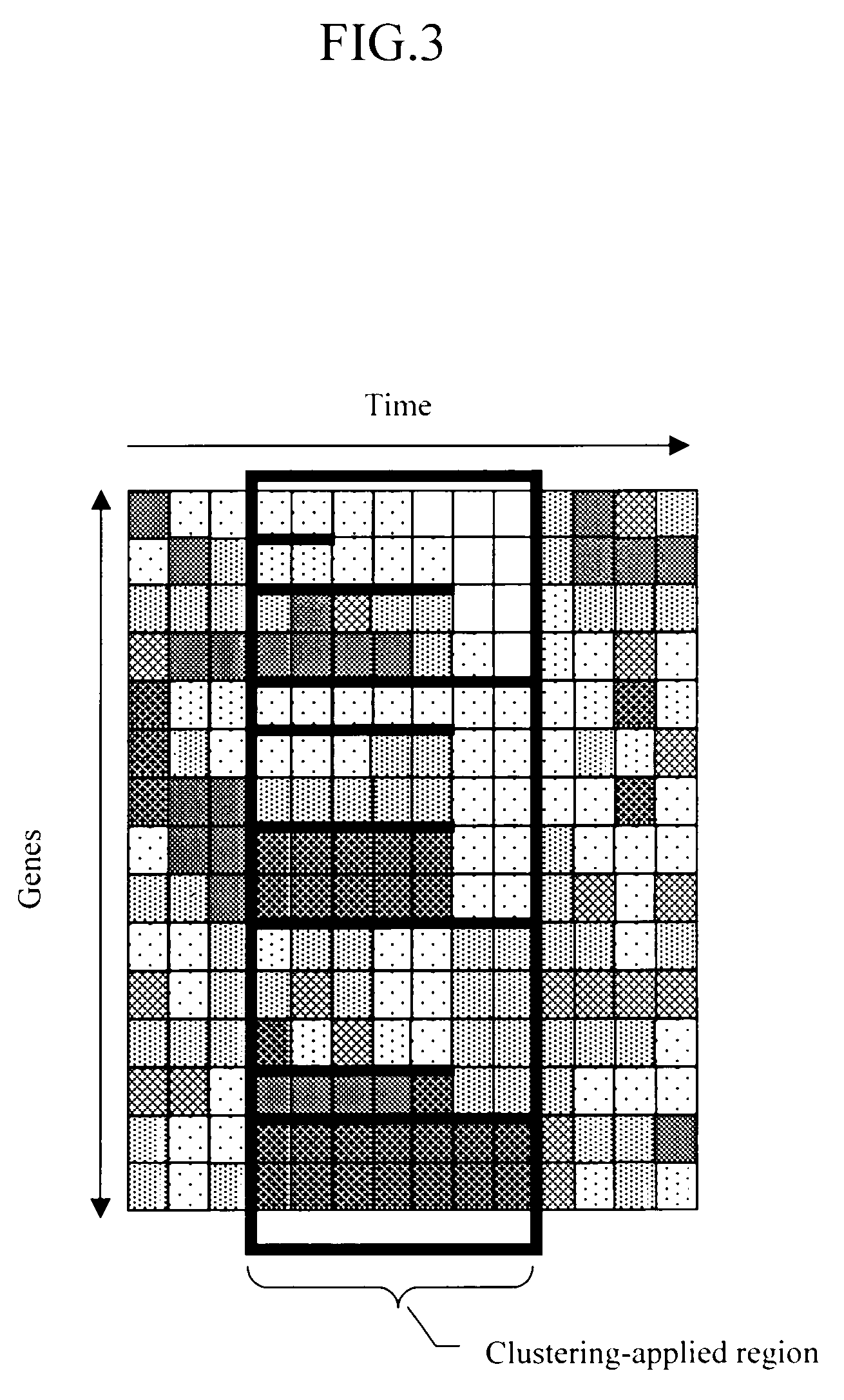 Method and apparatus for displaying gene expression patterns