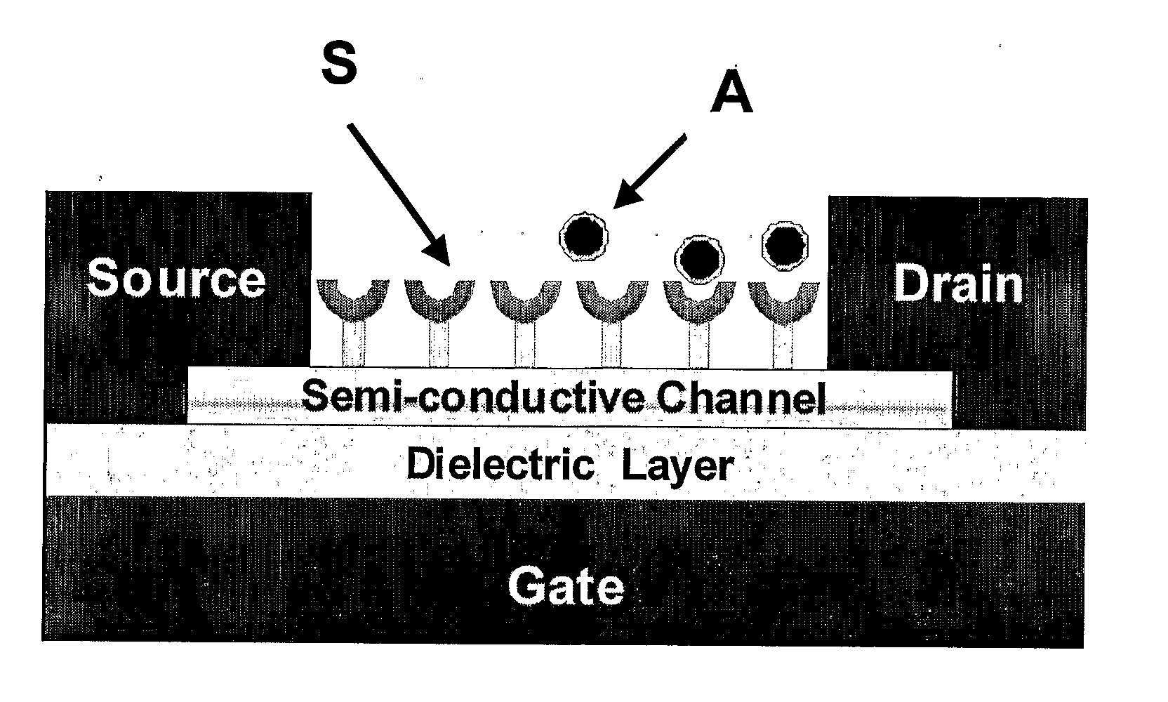 Chemically sensitive field effect transistors and uses thereof in electronic nose devices