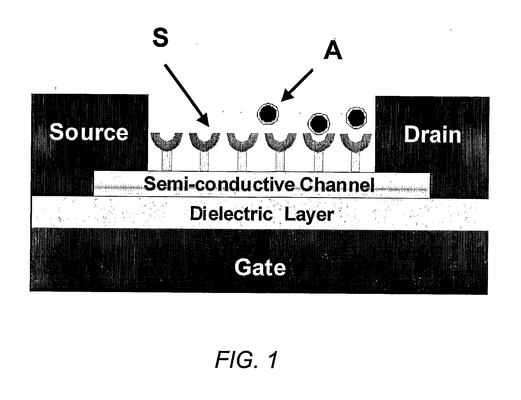 Chemically sensitive field effect transistors and uses thereof in electronic nose devices