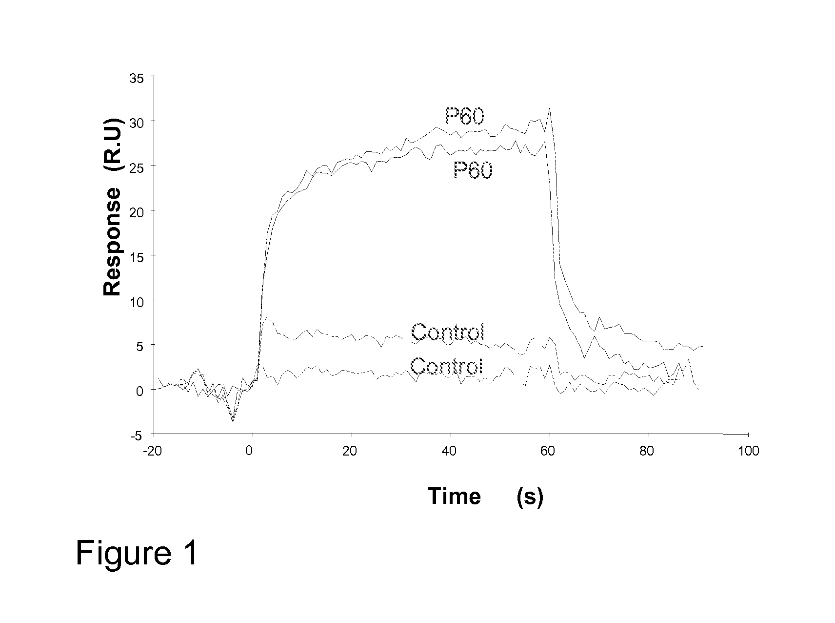 Peptides with capacity to bind to scurfin and applications