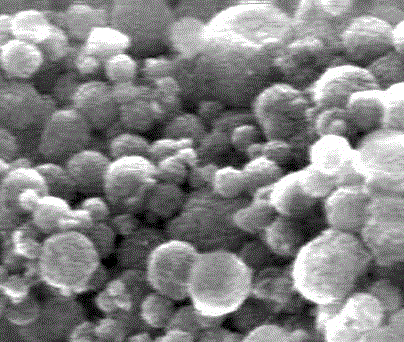 Walnut oil microcapsule and preparation method thereof