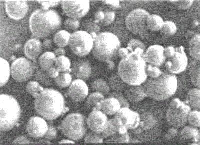 Walnut oil microcapsule and preparation method thereof