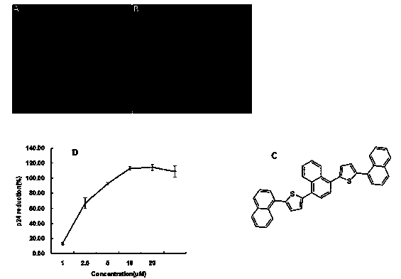 Method For High Throughput Screening Of Hiv 1 Integrase Inhibitor By Using Tet Off Induction