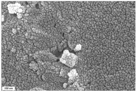 Preparation method and application of stacking-coral-like biomass-charcoal-based catalyst