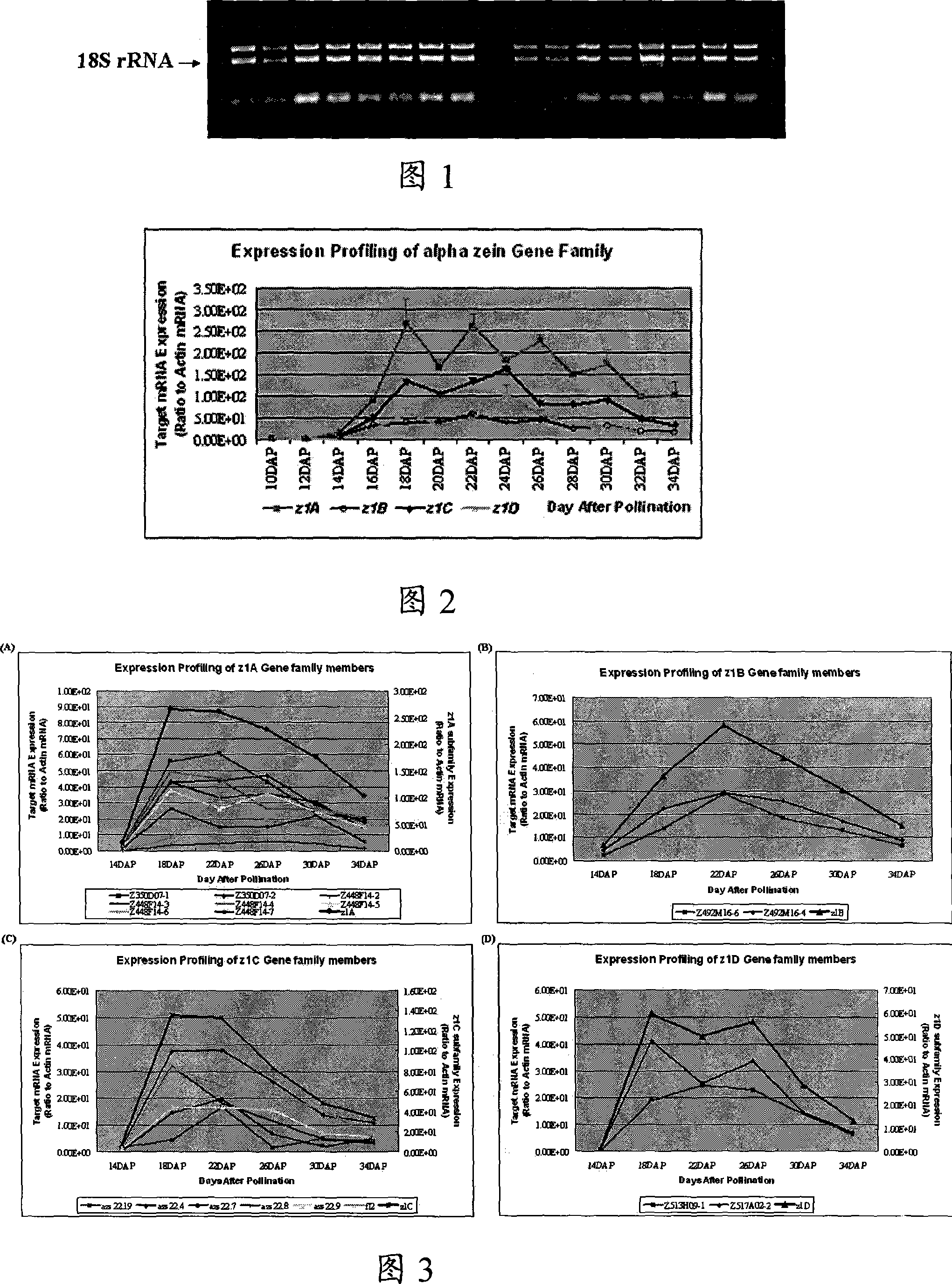 Construction method of expression profile for high homologous degree polygene family