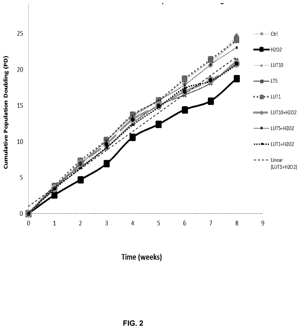 Dietary supplement comprising lutein for telomere protection, and method for production thereof