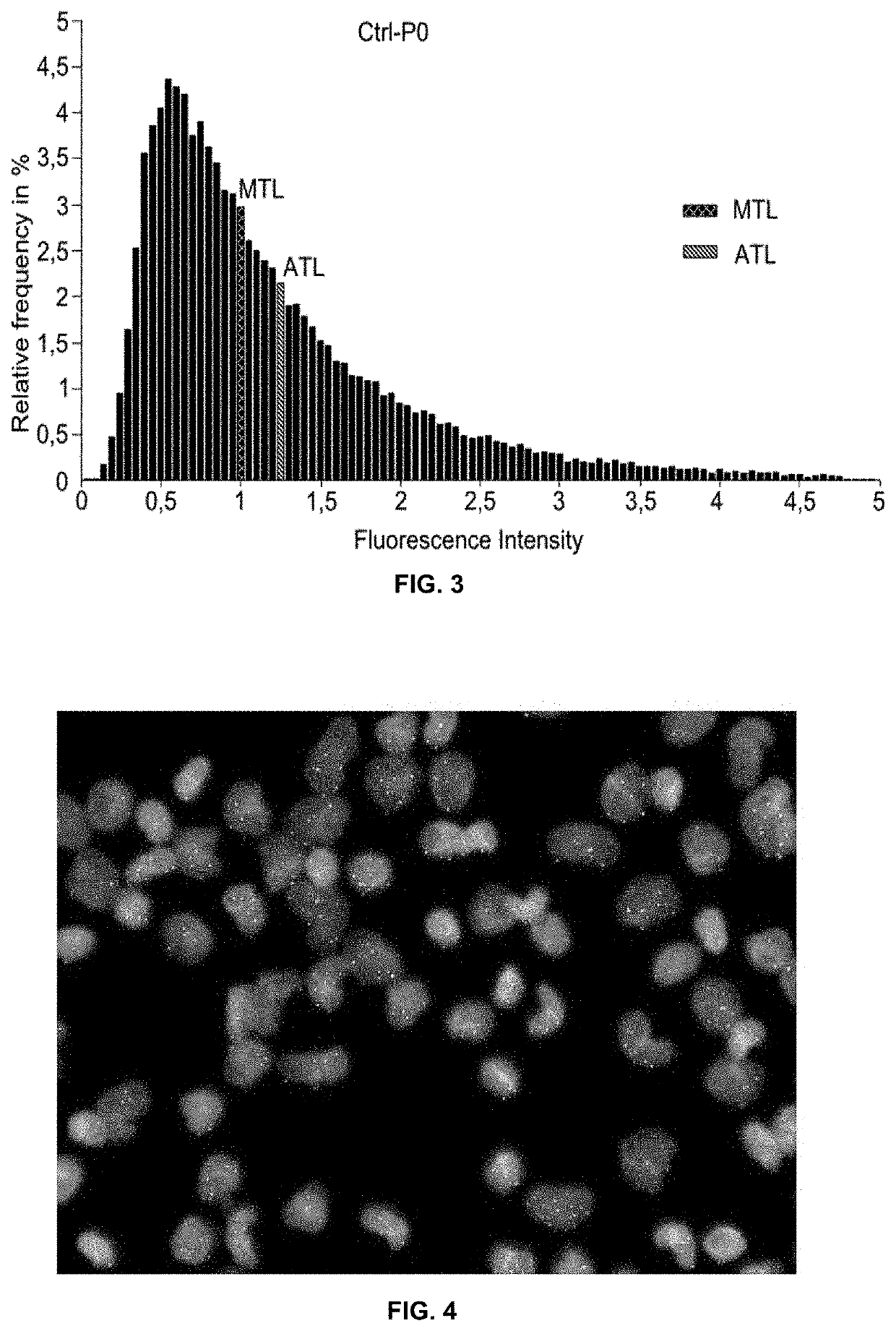 Dietary supplement comprising lutein for telomere protection, and method for production thereof