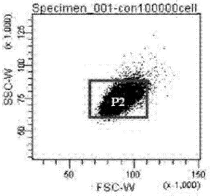 Method for reducing spontaneous mutation background of wild type human-rat hybridoma AL cells