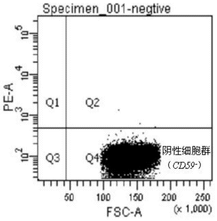 Method for reducing spontaneous mutation background of wild type human-rat hybridoma AL cells