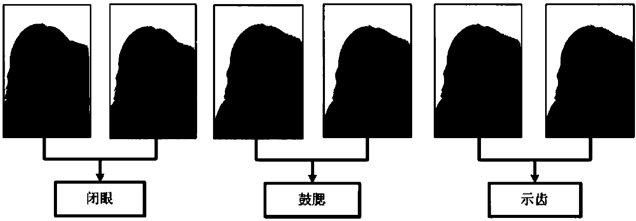 True and false facial paralysis identification system based on depth difference feature