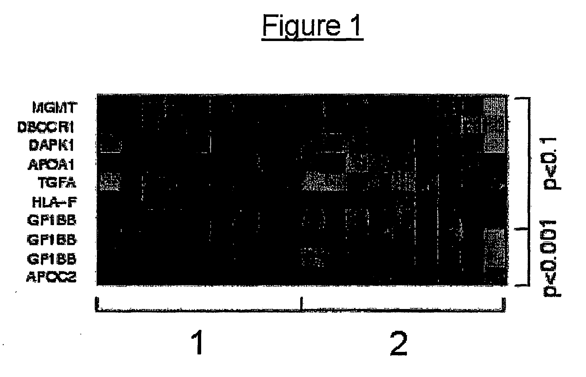 Methods and nucleic acids for the differentiation of prostate and renal carcinomas