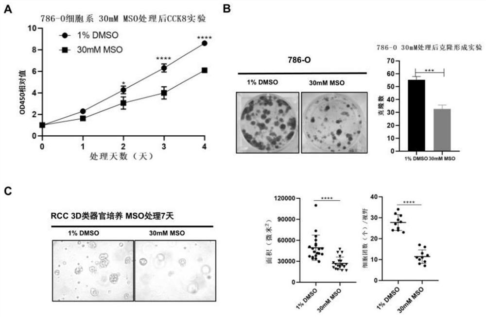 Inhibitor for treating renal clear cell carcinoma