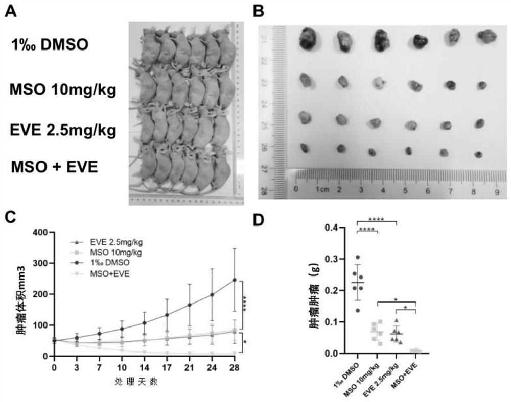 Inhibitor for treating renal clear cell carcinoma