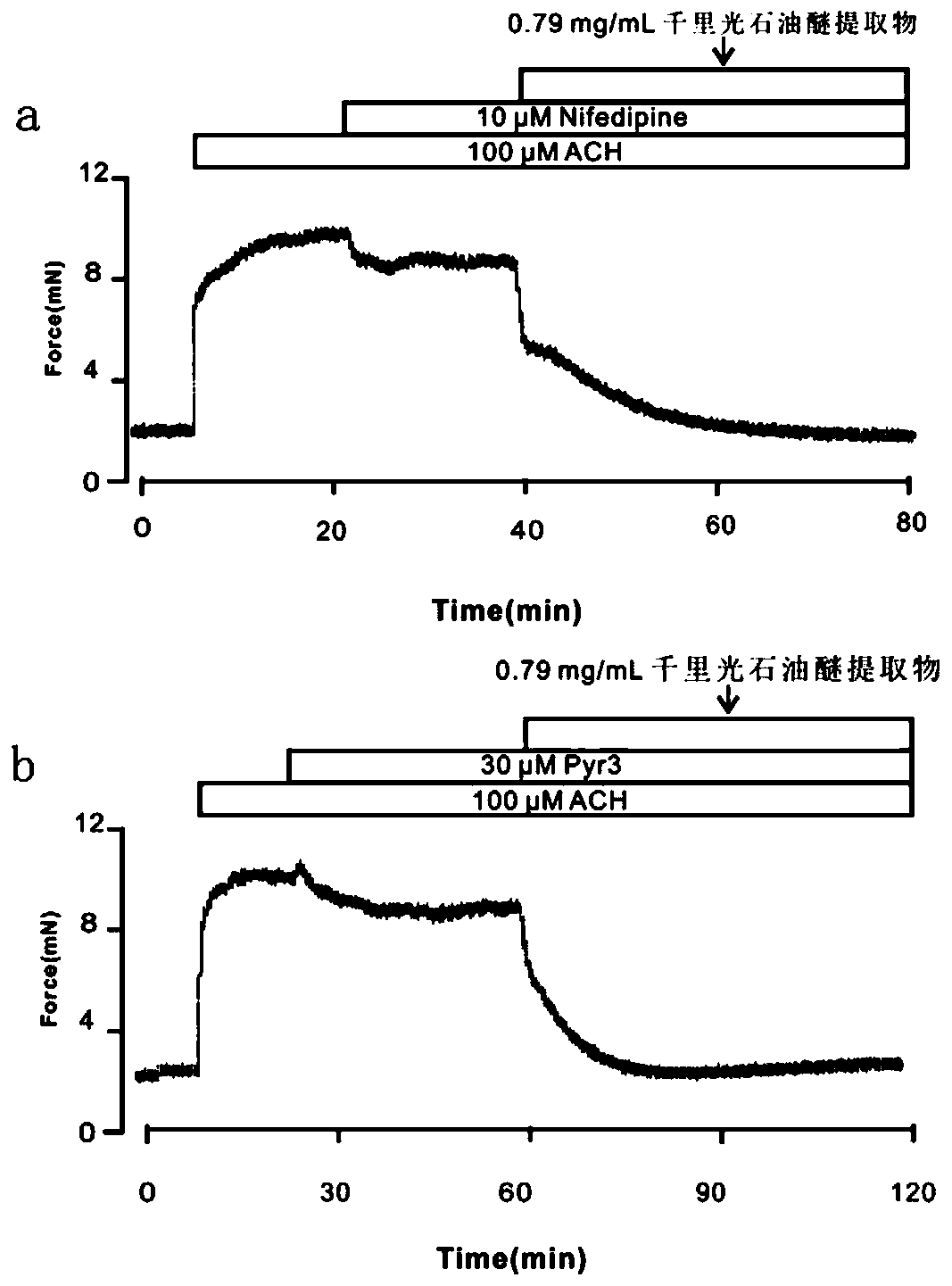 Application of Senecio scandens extract in preparation of medicine for relaxing airway smooth muscles