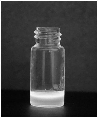 Organic silicon modified epoxy composite resin with fluorescence characteristics