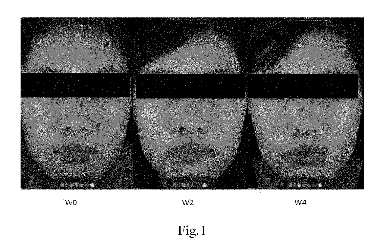 Skin lightening cosmetic composition and preparation method thereof