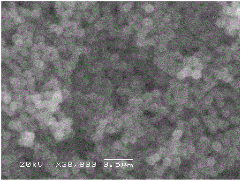 Magnetic microsphere capable of absorbing cadmium ions and complexes thereof, as well as preparation method, application method and regeneration method of magnetic microsphere