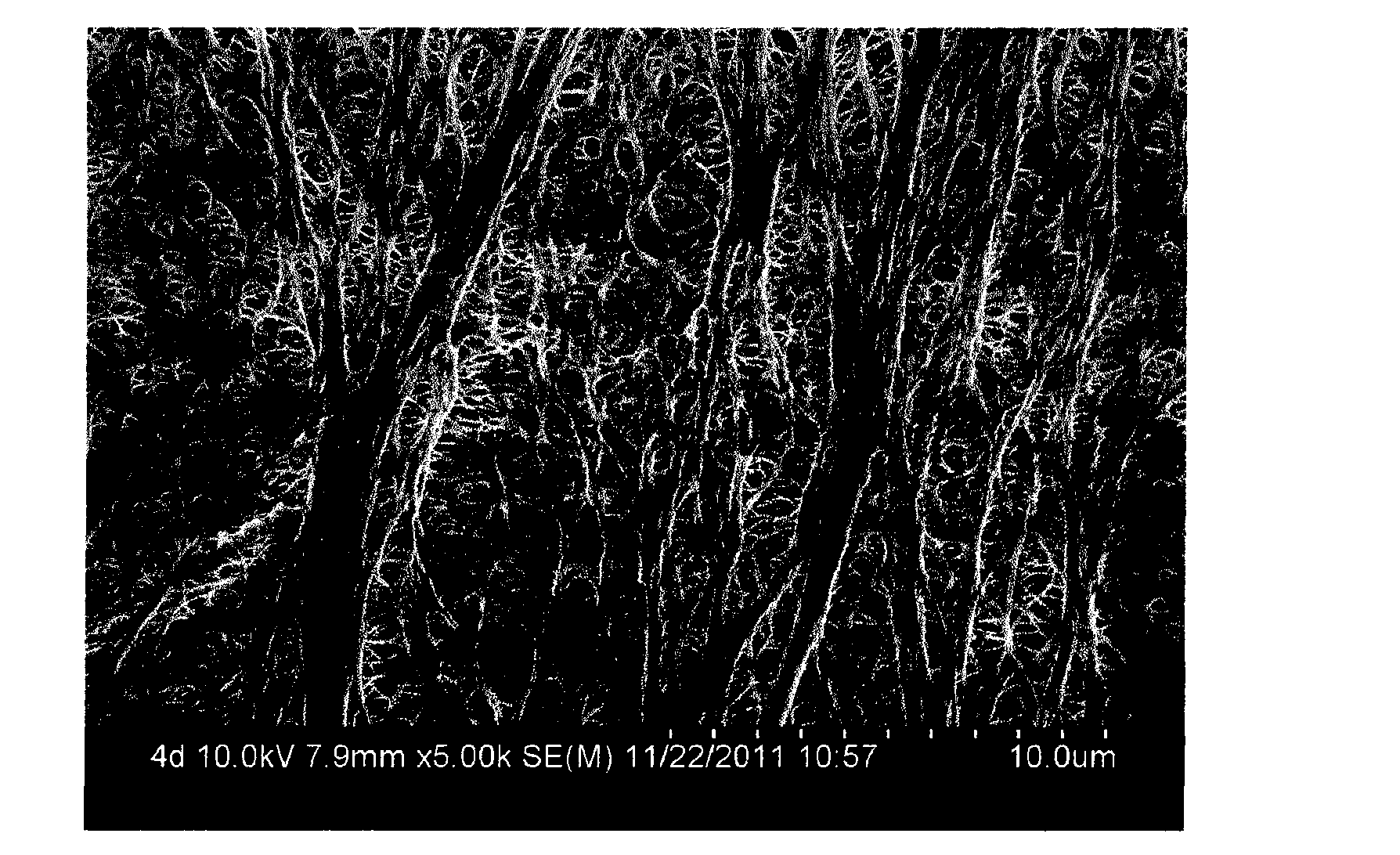 Polyethylene based composite material microporous diaphragm with hot-pressing adhesive characteristic