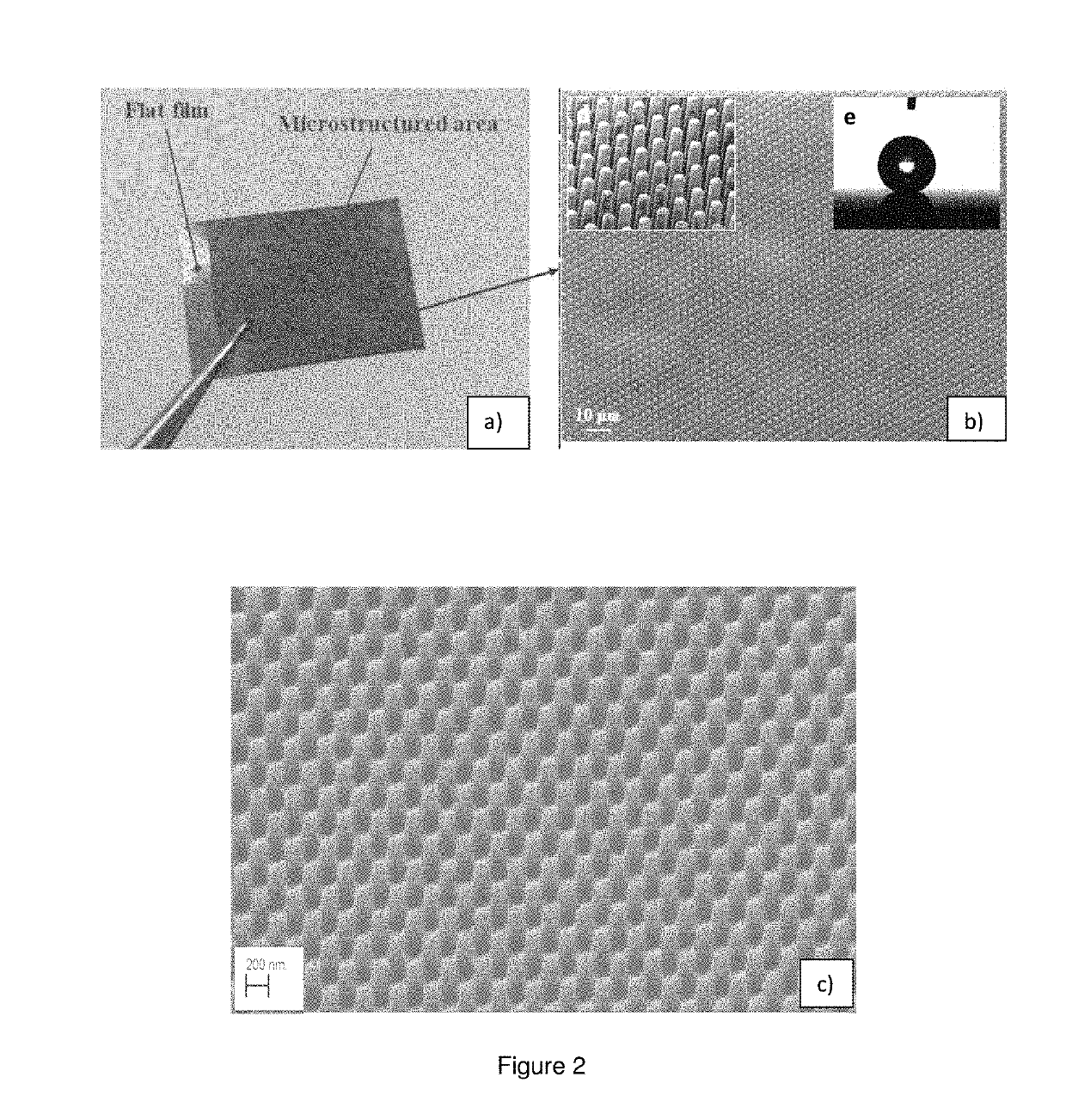 Polymeric composites with functional surfaces