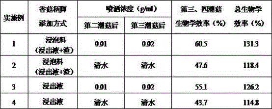 Cultivation method for maitake