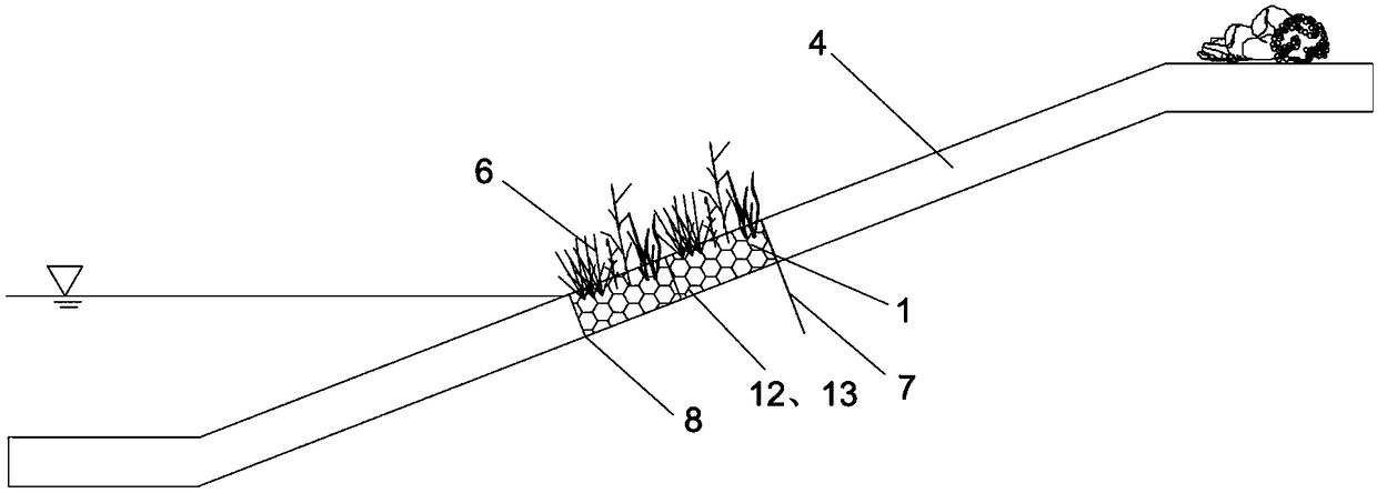 In-situ vegetation type ecological transformation structure and method for hard sloping revetment