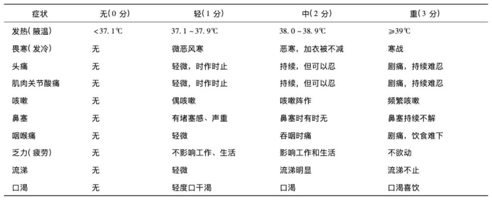 Traditional Chinese medicine formula for treating mild influenza as well as preparation method and application thereof