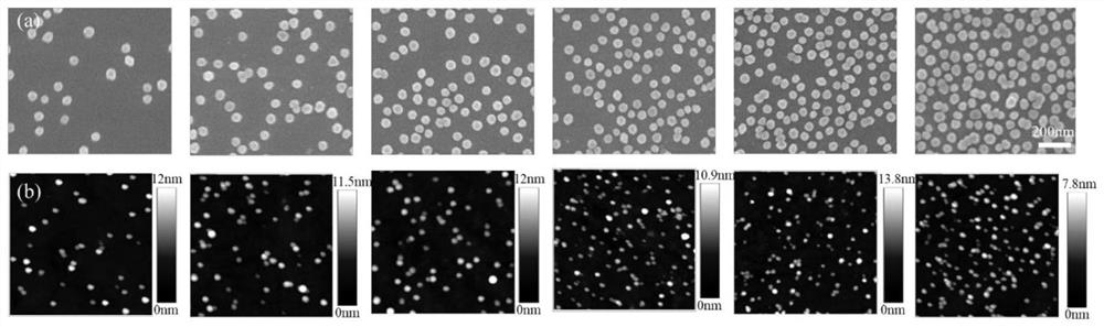 A method for preparing nano-sized polymer brush arrays using gold nanoparticles