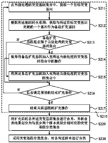 Method, apparatus, device and medium for sample classification based on gene mutation information