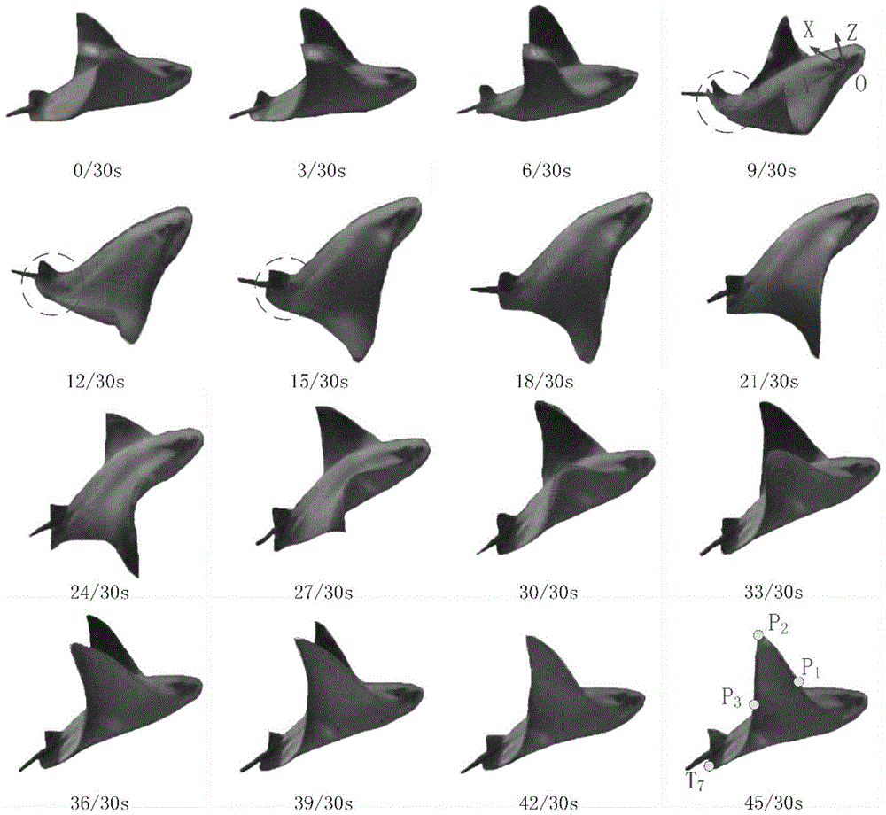 Implementation method for rapid great pitch angle change motion of pectoral fin paddling type robotic fish