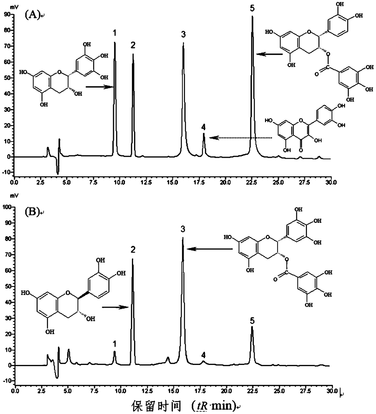 A kind of multifunctional compound instant tea and its preparation method and application