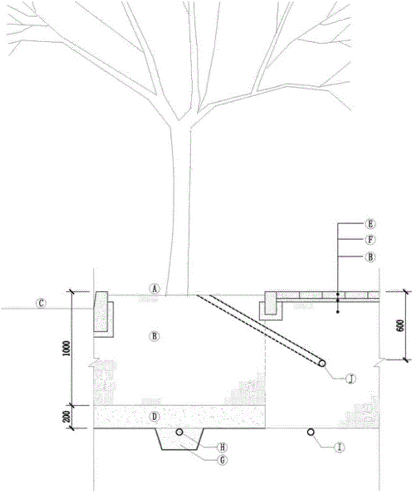 Improvement method of underground soil of urban street trees in coastal saline-alkali land area