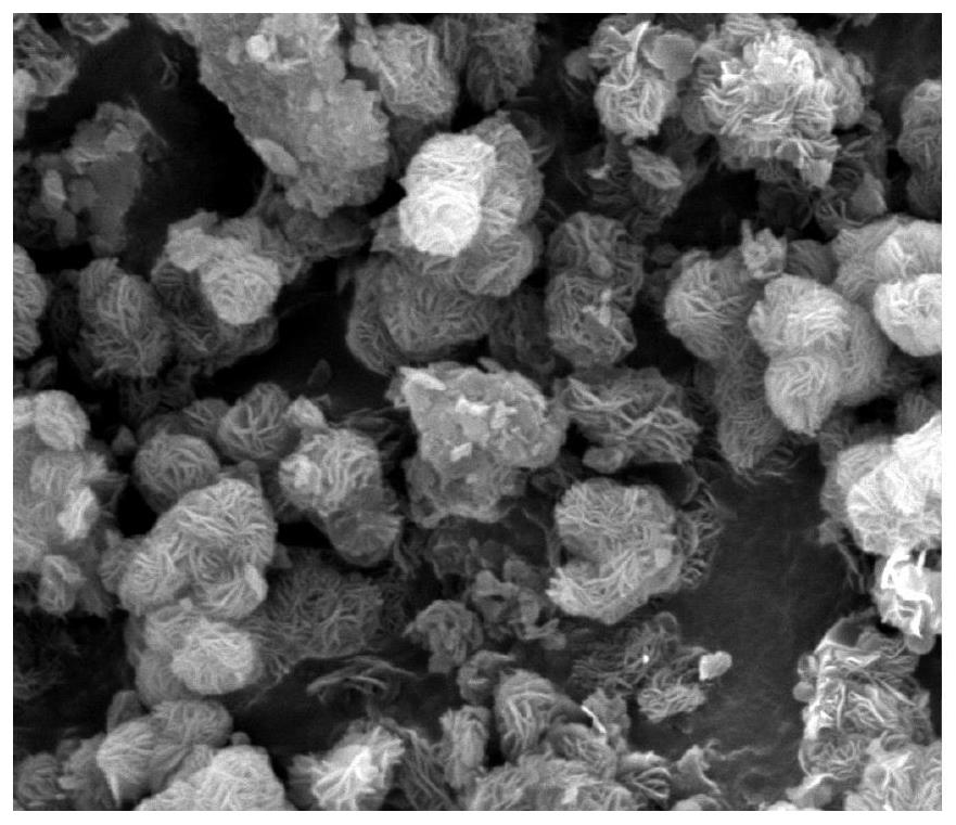 Sulfur-based intercalated hydrotalcite modified charcoal-based adsorption material and preparation and application thereof