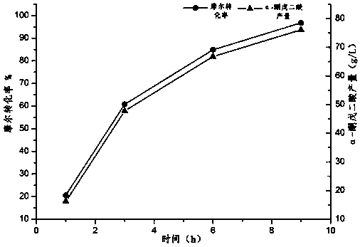 Method by using co-expression recombinant bacteria strain to convert and produce alpha-ketoglutarate