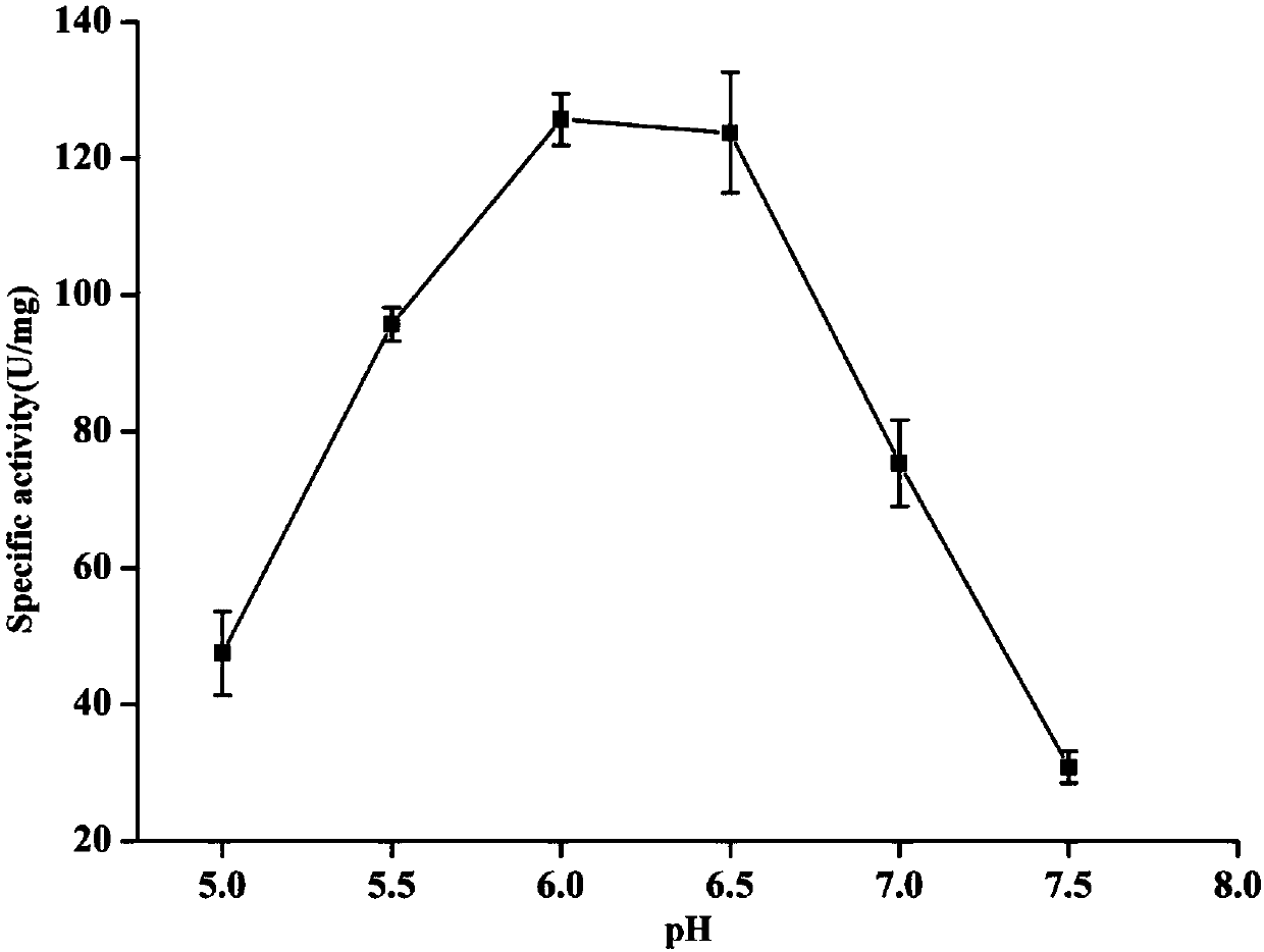 Method by using co-expression recombinant bacteria strain to convert and produce alpha-ketoglutarate