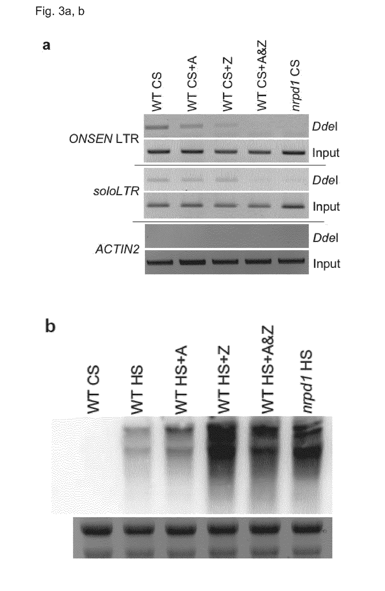 Mobilisation of transposable elements to enhance genetic and epigenetic variability in a population