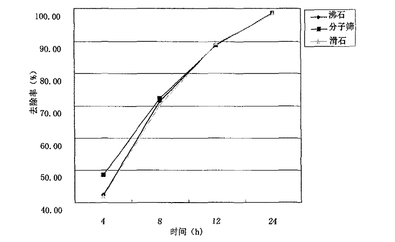 Paint composition and preparation method thereof